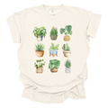 House Plants